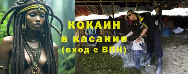 дживик Наволоки