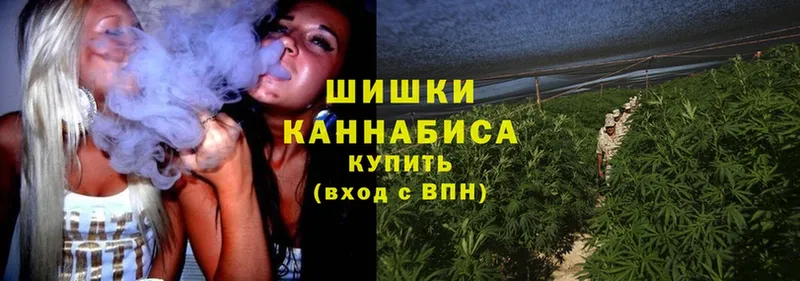 Каннабис OG Kush  Собинка 